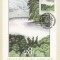 1102 - Anglia carte maxima 1983