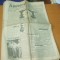 Adeverul 1 august 1937