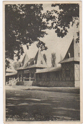 RPR,CP circulata 1965,Oradea,Baile Victoria,sepia foto