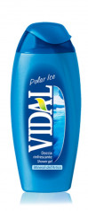 VIDAL gel de dus 250 ml,produs in Italia ( Polar Ice ) (5+1) foto