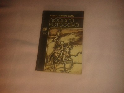 nicoara potcooava foto