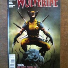 Wolverine - Goes To Hell #1 - Marvel Comics