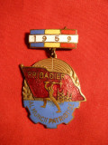 Insigna -Insemn - Brigadier al Muncii Patriotice ,h= 4 cm ,1959, Romania de la 1950