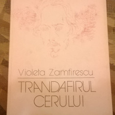 Violeta Zamfirescu - Trandafirul cerului