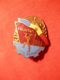 Insigna- Insemn -Fruntas in munca Patriotica, Romania de la 1950