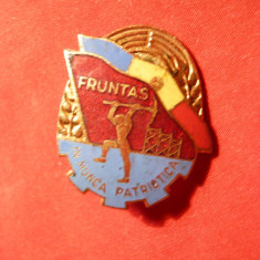 Insigna- Insemn -Fruntas in munca Patriotica