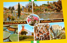 Cluj Napoca - Gradina Botanica - FLORI, NATURA, ARTA - necirculata anii 1986 - 2+1 gratis toate produsele la pret fix - RBK2993 foto