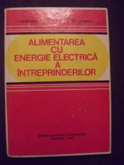 ALIMENTAREA CU ENERGIE ELECTRICA A INTREPRINDERILOR - I. IORDANESCU, G. IACOBESCU foto