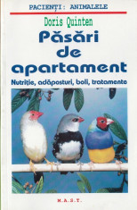 PASARI DE APARTAMENT de DORIS QUINTEN foto