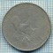 3728 MONEDA - TUNISIA - 1 DINAR - anul 1983 -starea care se vede