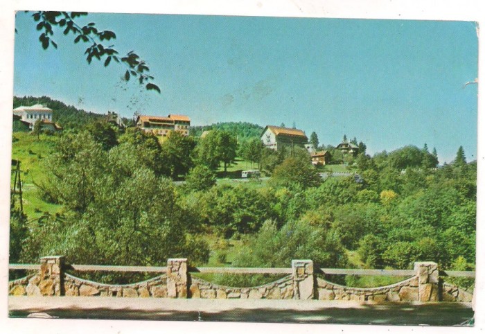 carte postala(ilustrata)-VALEA TIMISULUI