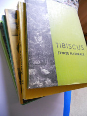 BANAT-6 ANUARE TIBISCUS SI ANALELE BANATULUI STIINTELE NATURII-PRIMELE 3 NUMERE SI 2 NUMERE,TIMISOARA,1974-1998 foto