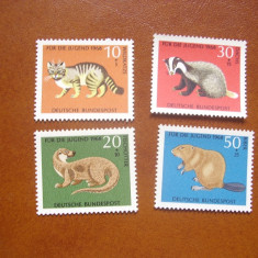 Germania 1968 fauna animale ( pisici ) mi 549-552 MNH