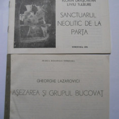 BANAT-GHEORGHE LAZAROVICI-SANCTUARUL DE LA PARTA SI ASEZAREA BUCOVAT,TIMISOARA,1991