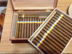 Cohiba Esplendidos si Partagas foto