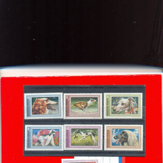 ST-52=UNGARIA 1972 Caini Serie nestampilata de 7 valori MNH