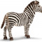 Figurina animal Zebra mascul - 14391