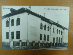 Carte postala Bazargic Scoala secundara de fete foto