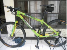 Cannondale F 600 foto