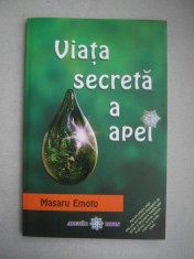 Masaru Emoto - Viata secreta a apei foto