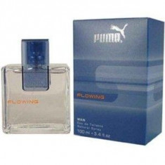 Puma Flowing Man EDT 30 ml pentru barbati foto