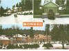 CPI (B3208) BORSEC, MOZAIC, EDITURA OSETCM, CIRCULATA, 1987, STAMPILE, TIMBRU IMPRIMAT, Fotografie