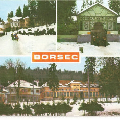 CPI (B3208) BORSEC, MOZAIC, EDITURA OSETCM, CIRCULATA, 1987, STAMPILE, TIMBRU IMPRIMAT