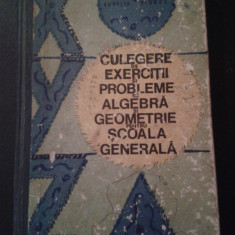 CULEGERE DE EXERCITII SI PROBLEME DE ALGEBRA SI GEOMETRIE - Arimescu Aurelia