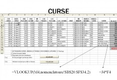 Proiect informatica Excel - Curse transport foto
