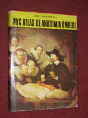 Mic atlas de anatomia omului - Dem. Theodorescu foto