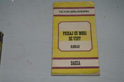 Peisaj cu mori de vant - Victor Barladeanu - Editura Dacia - 1989 foto
