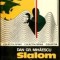 Dan Gr. Mihaescu - Slalom printre banuiti