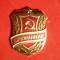 Insigna comunista Drujinik URSS ,h= 4 cm