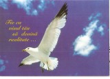 CPI (B3303) PORUMBEL. FIE CA VISUL TAU SA DEVINA REALITATE, EDITURA ART DESIGN, BUCURESTI, NECIRCULATA
