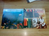 REGGAE SUNSPLASH `81 - A TRIBUTE TO BOB MARLEY (Compilatie THE WAILERS STEEL PULSE etc.) (2LP, 2 Viniluri,1982, ELEKTRA/WEA, Made in GERMANY), VINIL