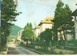 CPI (B3316) OLANESTI. ALEEA TRANDAFIRILOR, EDITURA SPORT-TURISM, CIRCULATA, 1988STAMPILE, TIMBRU