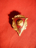 Insigna veche Fotbal URSS cu marcaj ,h= 2,3 cm
