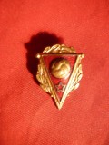 Insigna veche Fotbal URSS cu marcaj ,h= 2,3 cm