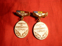 Set 2 Insigne-Titlu - Fruntas in gospodarirea comunei 1969,1976 foto