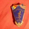 Insigna Intalnire Bilaterala Atletism Romania SUA 1970 ,h= 4cm