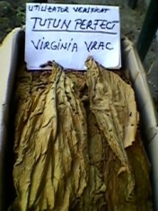 TUTUN VIRGINIA FRUNZE VRAC foto