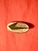 Insigna veche Aviatie - Express SUA ,metal si email ,L= 1,7 cm, America de Nord