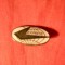 Insigna veche Aviatie - Express SUA ,metal si email ,L= 1,7 cm