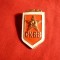 Insigna veche comunista - SKVV - URSS -h= 2,7 cm