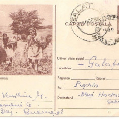 CPI (B3487) CARTE POSTALA. PIONIERELE CULEG PLANTE MEDICINALE, CIRCULATA, 1957, R.P.R.; PIONIER, PIONIERI, ELEV, ELEVI, TINERI, TANAR, COPIL, COPII