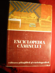 Ecat.Oproiu s.a.- Enciclopedia Caminului -Ed.Stiintifica 1975 foto