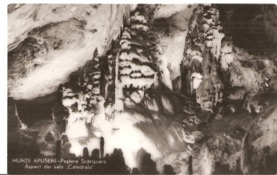 CPI (B3468) MUNTII APUSENI. PESTERA SCARISOARA. ASPECT DIN SALA &amp;#039;CATEDRALA&amp;quot;, EDITURA MERIDIANE, SCRISA SI NECIRCULATA, R.P.R., DATATA 1964 foto
