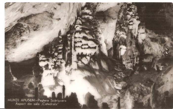 CPI (B3468) MUNTII APUSENI. PESTERA SCARISOARA. ASPECT DIN SALA &#039;CATEDRALA&quot;, EDITURA MERIDIANE, SCRISA SI NECIRCULATA, R.P.R., DATATA 1964