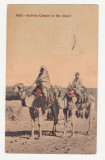 CARTE POSTALA DIN 1910 - ADEN - ARABIAN CAMELS IN DESERT, Necirculata