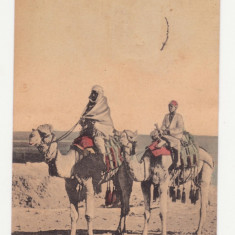 CARTE POSTALA DIN 1910 - ADEN - ARABIAN CAMELS IN DESERT